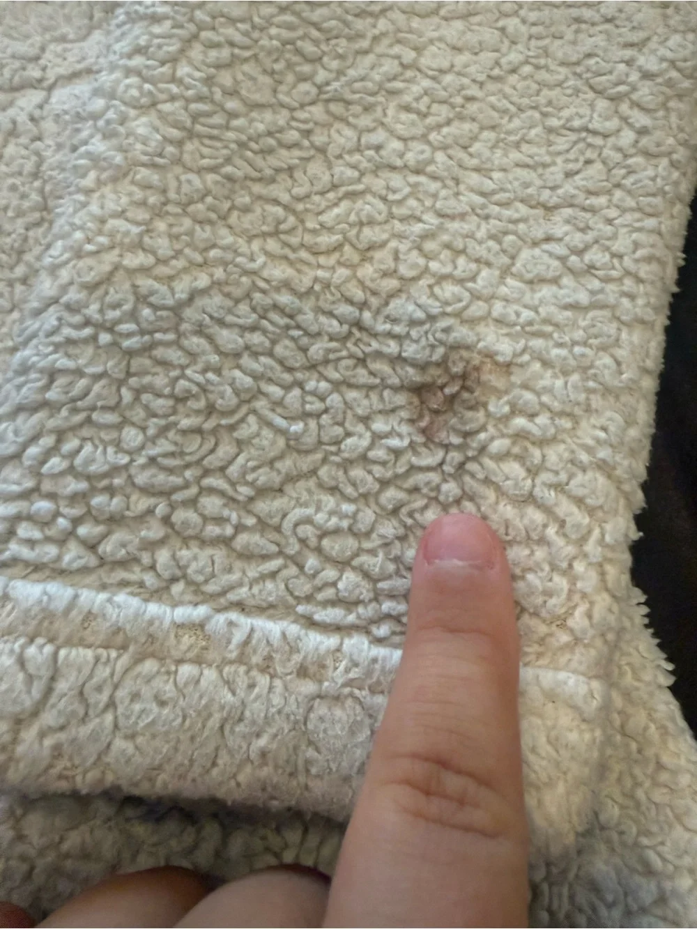 Patagonia Cream Sherpa Quarter-Zip Pullover has some stains